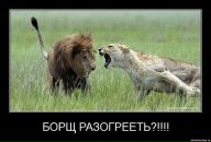 Сергій Іванов фотография #8 (источник - https://vk.com/id33720146)