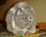 Фотография Лапенко Инессы