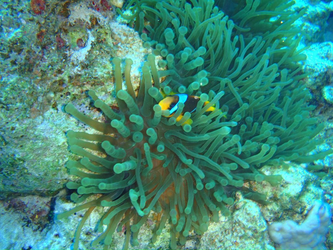 Vit Mi фотография #36