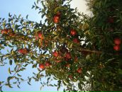 Віталік Гикавий фотография #11 (источник - https://vk.com/id65550734)