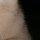 Вікторія Павлюк фотография #47 (источник - https://vk.com/id136039118)