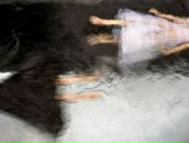 Наталія Гритчак фотография #35 (источник - https://vk.com/id47452160)