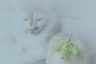 Саша Синя фотография #14 (источник - https://vk.com/id6787966)