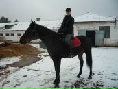 Фотография  