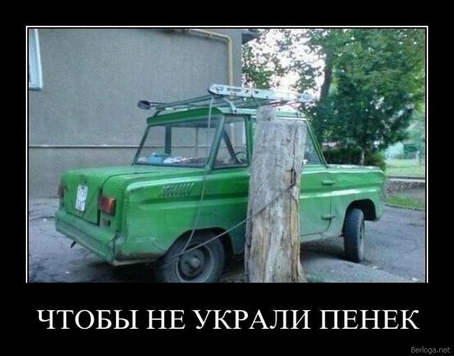 Антон Алев фотография #48