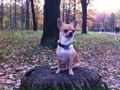 Фотография Фомина Павла