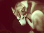 Криста Кул фотография #44 (источник - https://vk.com/id1845295)