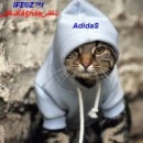 Фотография Касатина Александра