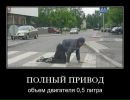 Олексій Войтович фотография #34 (источник - https://vk.com/id151437929)