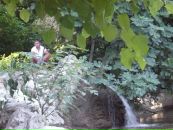 Світлана Дурай фотография #39 (источник - https://vk.com/id69632254)