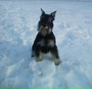 Фотография Безусловной Любови