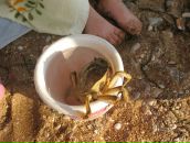 Іринка Будик(полюхович) фотография #50 (источник - https://vk.com/id72473571)