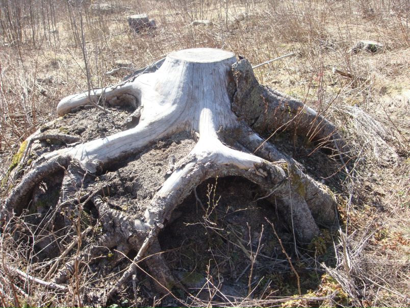 Иван Амельченко фото №44