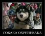  фотография #41