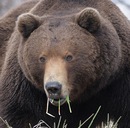 Фотография Носорогина Эдуарда