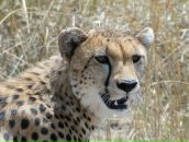 Фотография Романтика Новыя