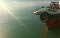 Дарья Вернер фотография #48 (источник - https://vk.com/id206414)