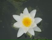 Фотография Клепиковой Екатерины