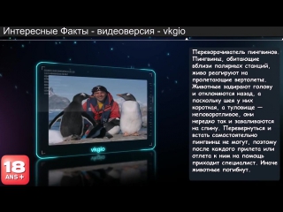 необычные профессии