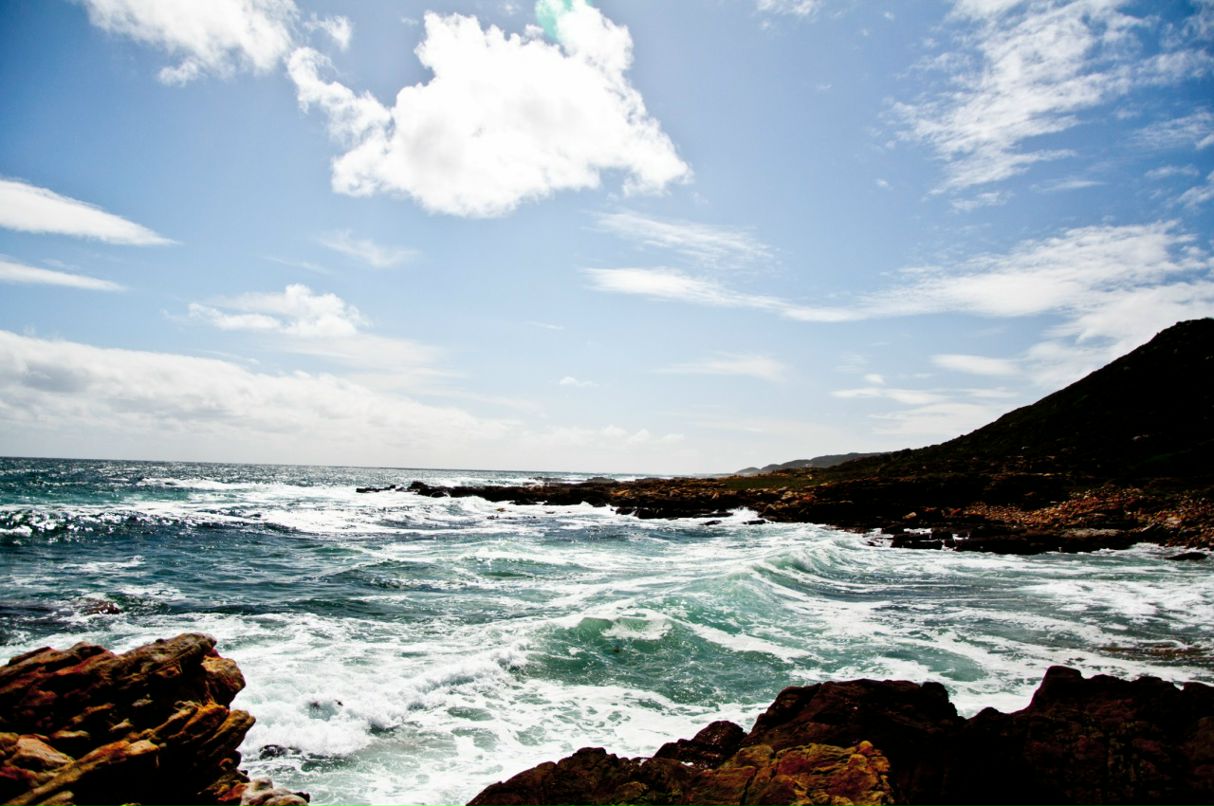 Артем Панченко фотография #38