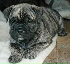 Фотография Козловой Юлии