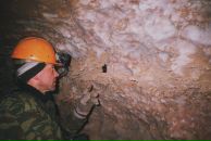 Фотография Кантемирова Анна