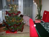 Фотография Подобанской Дарьи