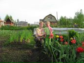 Фотография Тонких Елизаветы