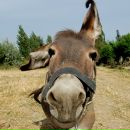 Фотография Hefter Nadia