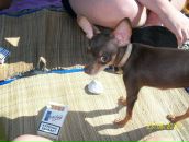 Фотография Алексеевича Виталия