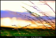 Валерій Яровий фотография #39 (источник - https://vk.com/id16472454)