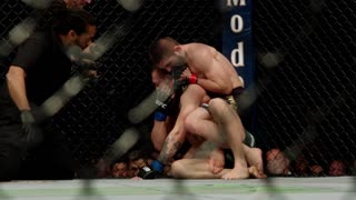 UFC242: Возвращение Хабиба Нурмагомедова