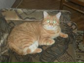 Фотография Долматовой Катрин