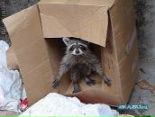 Фотография Черкасовой Юли