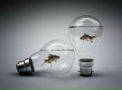 Фотография Сергеевны Марии