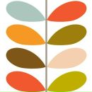 Фотография Шарапова Ивана