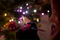 Фотография Коник Аннэт