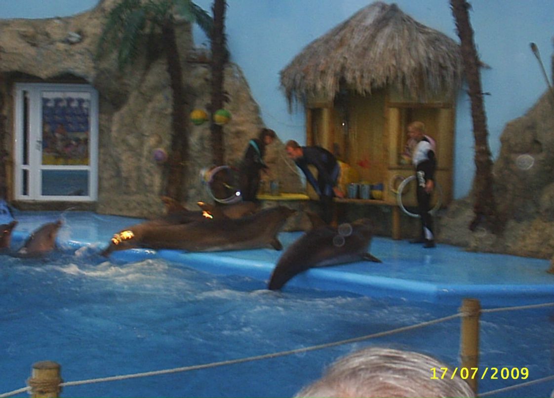 Міша Солтис фотография #44