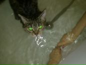 Фотография Арзаева Артура