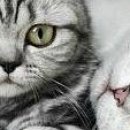 Сірожа Стицюк фотография #33 (источник - https://vk.com/id133380888)