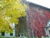 Вадим Арістов фотография #47 (источник - https://vk.com/id6874585)