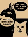 Нікіта Аустерманас фотография #47 (источник - https://vk.com/id98848800)