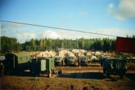 David Arturovich фотография #36 (источник - https://vk.com/id4131533)