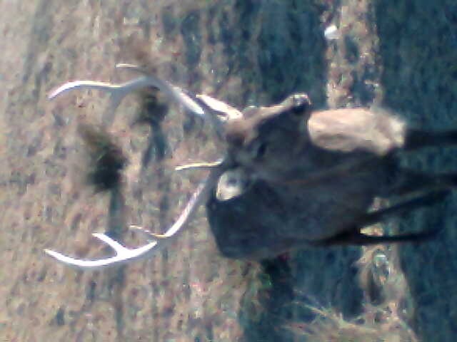 Иван Бонь фотография #46