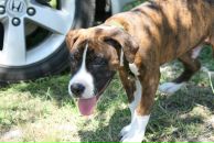 Кирилл Митяев фотография #39 (источник - https://vk.com/id6828811)