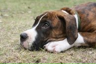 Кирилл Митяев фотография #10 (источник - https://vk.com/id6828811)