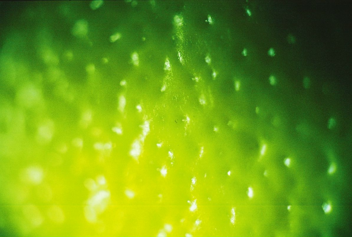 Аф Аф фотография #35