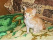 Фотография Скородумовой Марины Владимировны