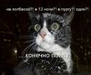 Аліна Ххх фотография #26 (источник - https://vk.com/id133714257)
