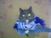 Фотография Лиллиберг Ольги